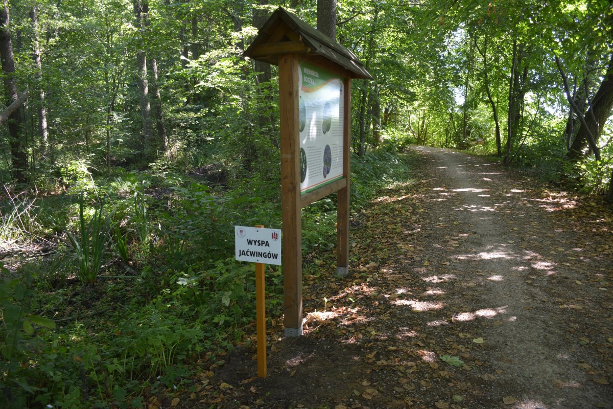 Leśna ścieżka z tablicą informacyjną, prowadząca przez zacieniony teren wśr&oacute;d drzew.